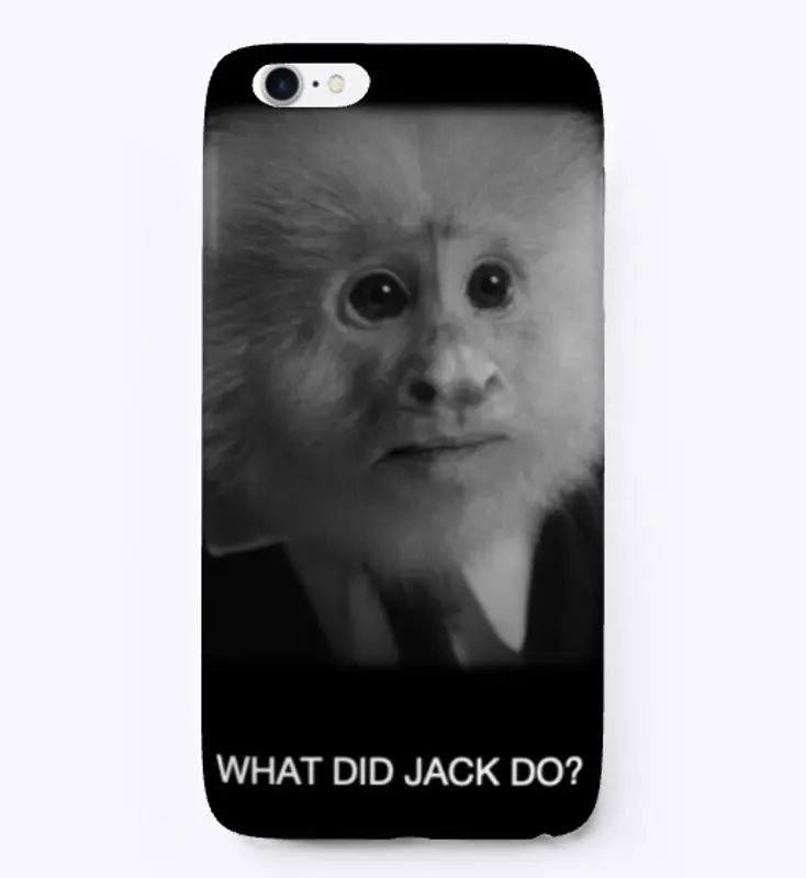 WHAT DID JACK DO? 1